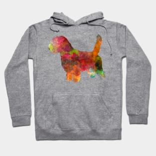 Petit Basseft Grifon Vendeen in watercolor Hoodie